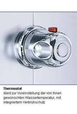 Schulte Duschmaster Mit Thermostat In Alu-Chromoptik -Schulte 124 4