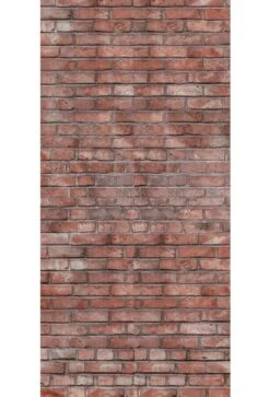 Schulte Decodesign Duschrückwand Dekor Stein Alter Klinker Rot 5 Schulte Decodesign Duschrückwand Dekor Stein Alter Klinker Rot -Schulte 12879 2