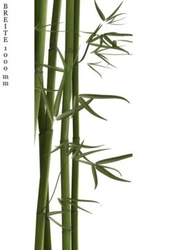 Schulte Decodesign Duschrückwand Foto Bambus -Schulte 15780 2