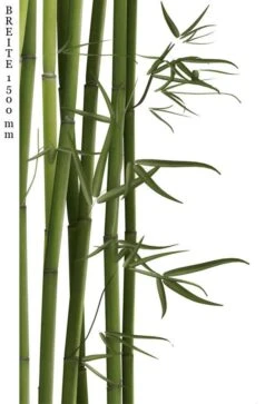 Schulte Decodesign Duschrückwand Foto Bambus -Schulte 15780 3