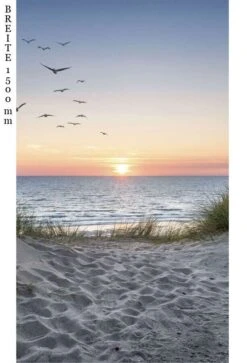 Schulte Decodesign Duschrückwand Foto Möwen -Schulte 15782 3