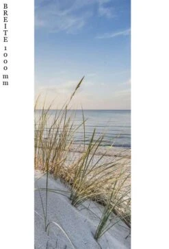 Schulte Decodesign Duschrückwand Foto Strandhafer -Schulte 15784 2