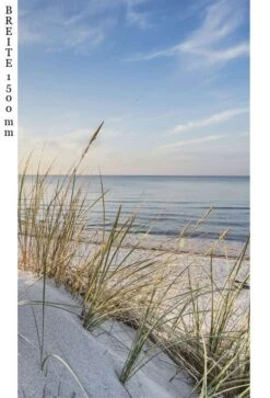 Schulte Decodesign Duschrückwand Foto Strandhafer -Schulte 15784 3