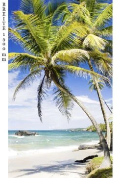 Schulte Decodesign Duschrückwand Foto Palmenstrand -Schulte 15815 3