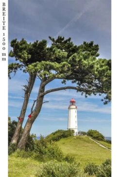 Schulte Decodesign Duschrückwand Foto Leuchtturm Hügel -Schulte 15819 3