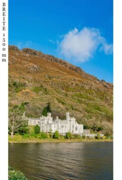 Schulte Decodesign Duschrückwand Foto Wasserschloss -Schulte 15820 3