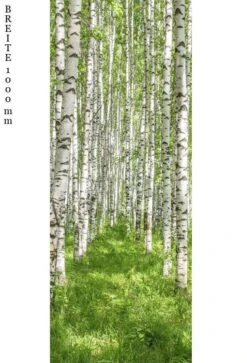 Schulte Decodesign Duschrückwand Foto Birkenwald -Schulte 15822 2