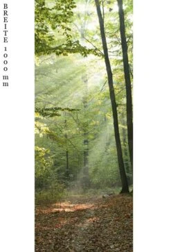 Schulte Decodesign Duschrückwand Foto Waldlichtung -Schulte 15823 2