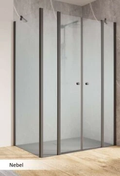 Schulte Garant 2.0 Pendeltür Mit Seitenwand 4-teilig Black Style -Schulte 19211 8