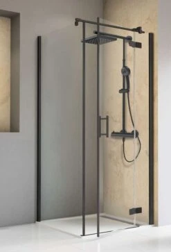 Schulte Toura Drehtür Pendelbar An Nebenteil Inklusive Seitenwand 8 Mm Black Style